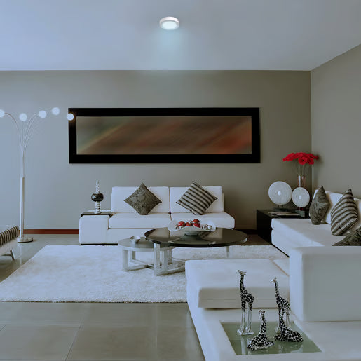 ANKAA II - Lámpara Plafón LED 12 W Luz de Día-Tecnolite