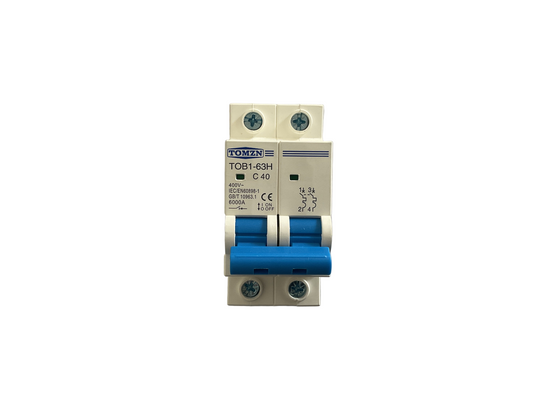 Interruptor termomagnetico-2 polos-40A-400V-Tomzn